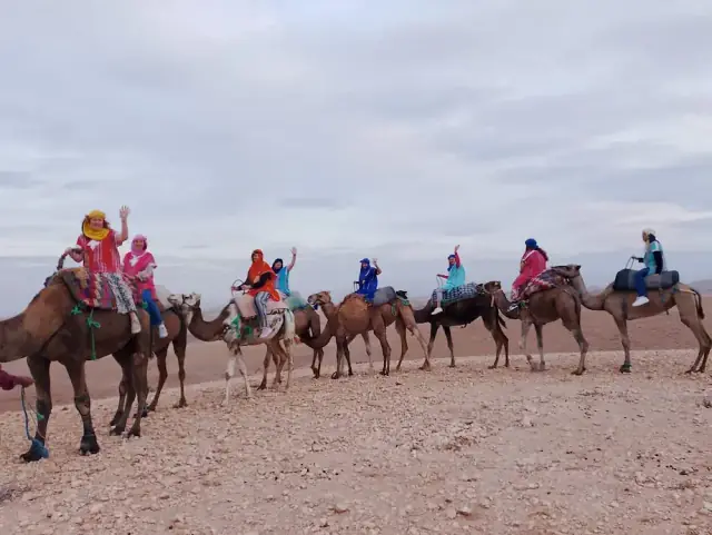 Camel ride and activity tours Marrakech Morocco