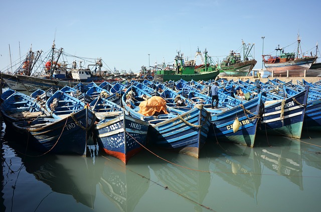 Essaouira coastal town with blue and white buildings