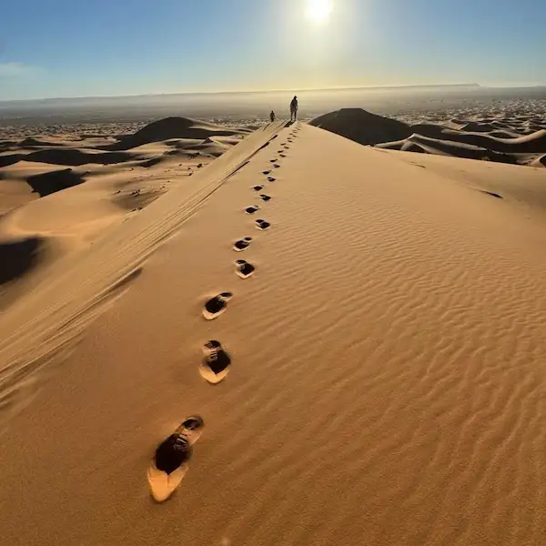 Merzouga Désert with sand dunes and camels at sunset