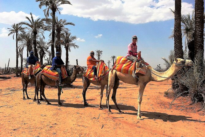 Quad biking in Marrakech palm grove